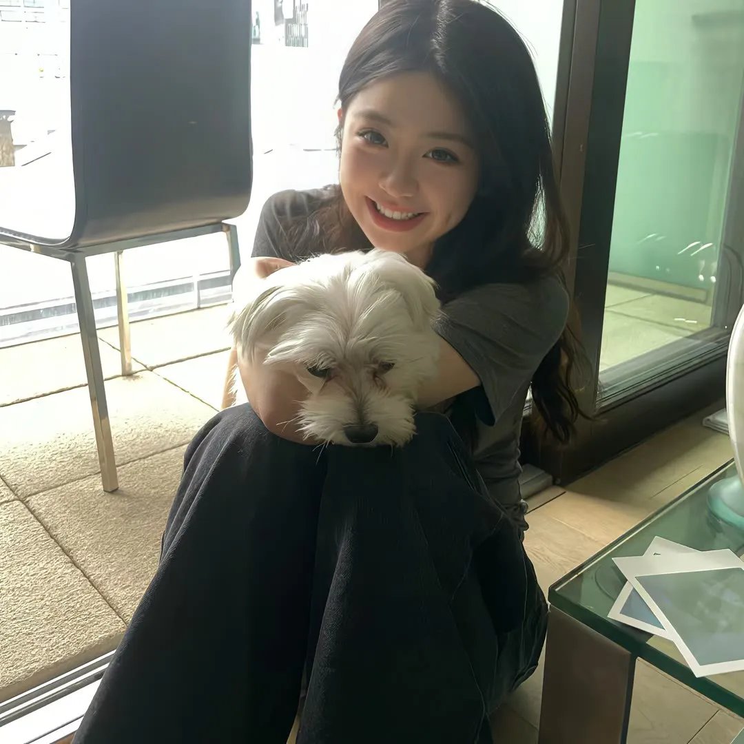 昔日玫瑰