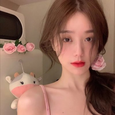 孤鸟罗宾